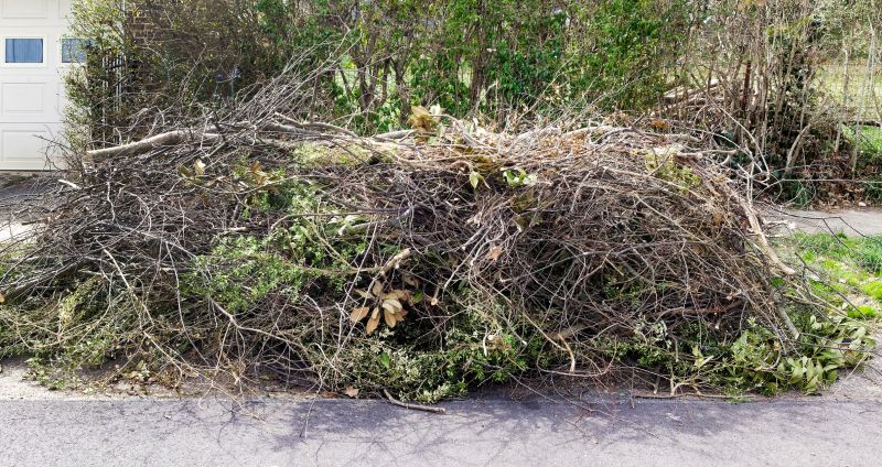 Disposal of Tree Debris
